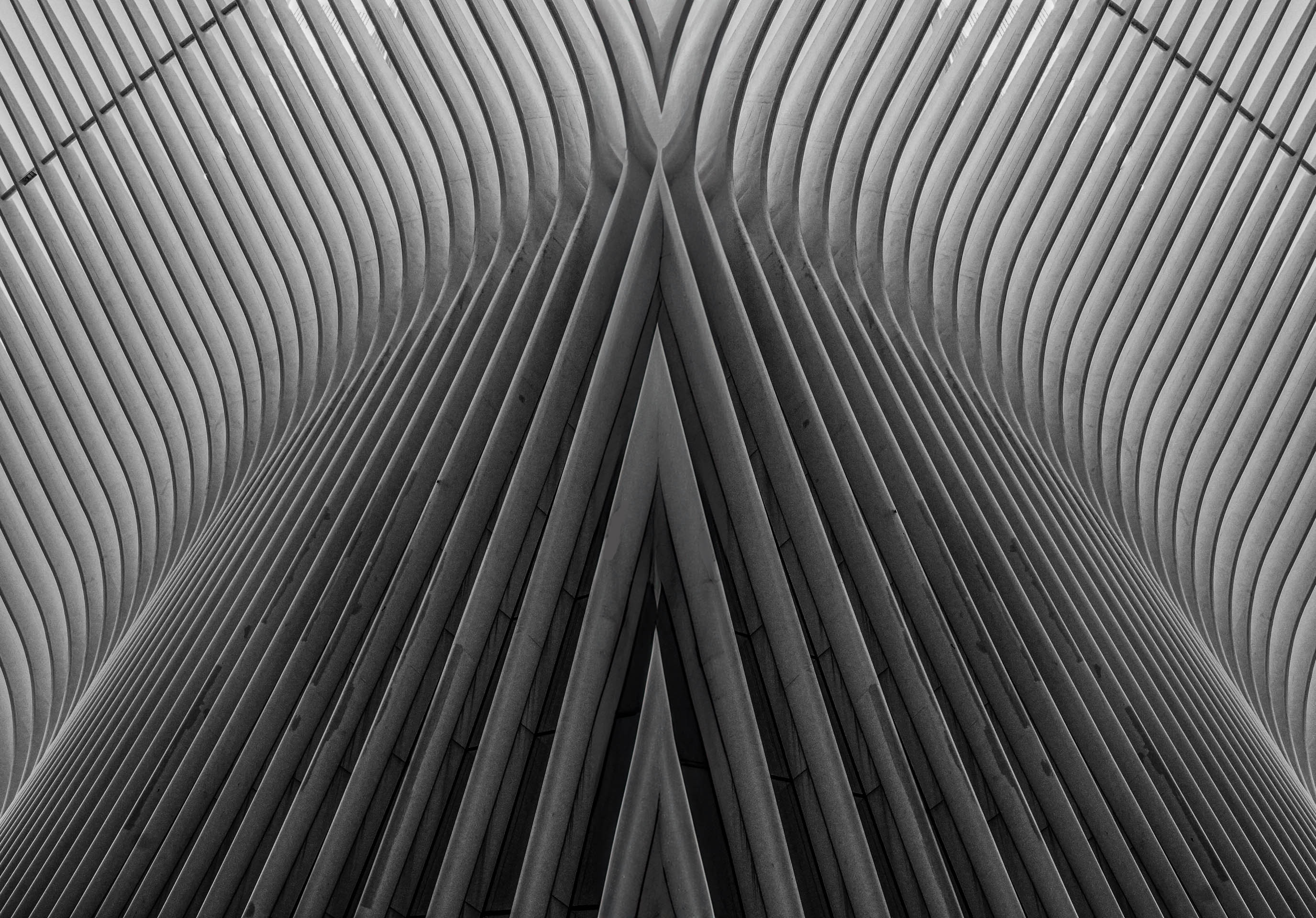 1st PrizeOpen Mono In Class 1 By Mark Sandler For Monochrome Occulus In Lower Manhattan DEC-2024.jpg